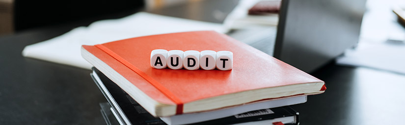 Technology and The Revolution in Audit?