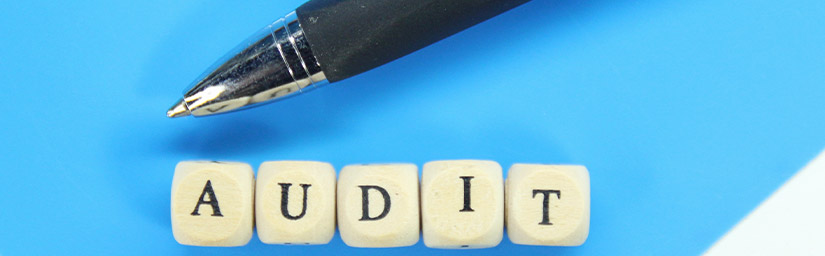 What is Internal Audit?