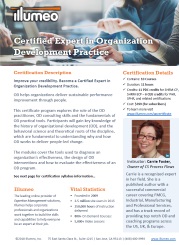 Organization Development Expert Certification Flyer