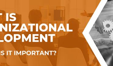 what-is-organizational-development-and-why-is-it-important.