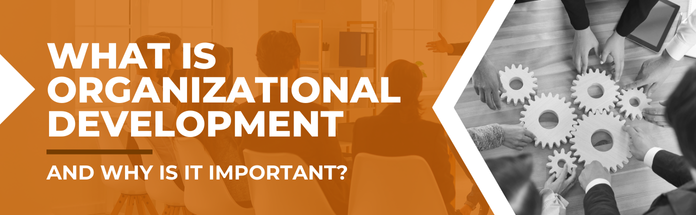 what-is-organizational-development-and-why-is-it-important.